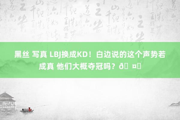 黑丝 写真 LBJ换成KD！白边说的这个声势若成真 他们大概夺冠吗？🤔