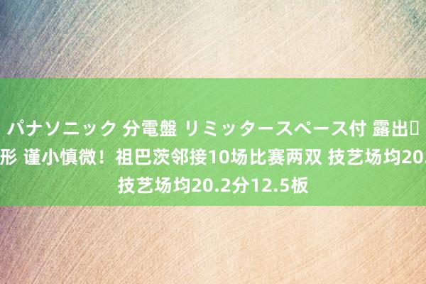 パナソニック 分電盤 リミッタースペース付 露出・半埋込両用
